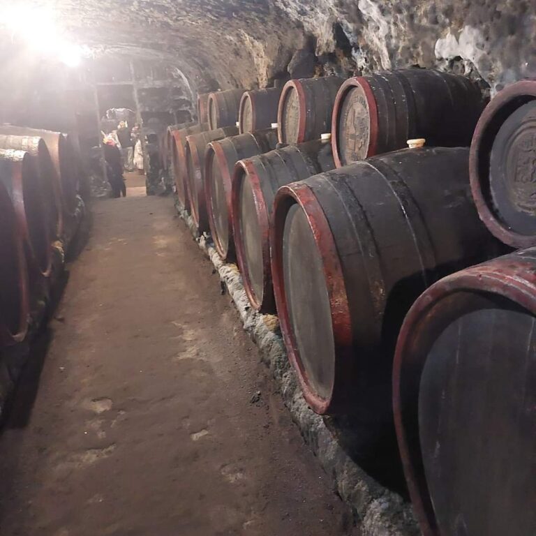 FB_IMG_1664718093670