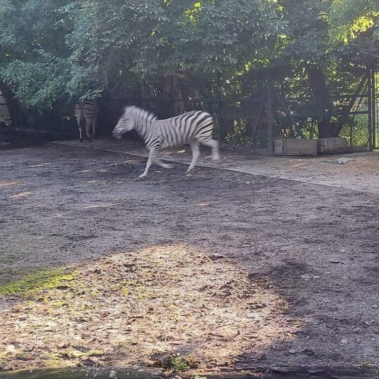 FB_IMG_1664830141181